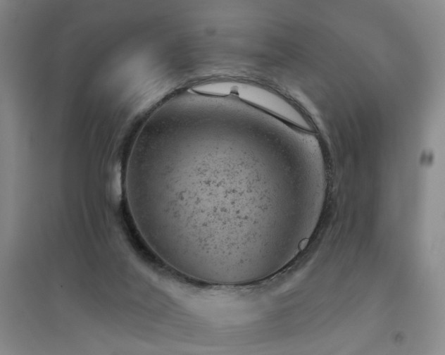 X0000094440020200711081259