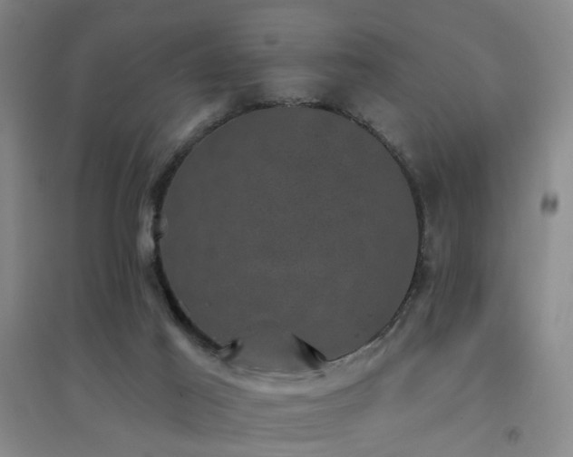 X0000094440021200711081259