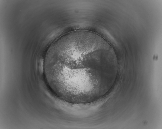 X0000094440022200711081259