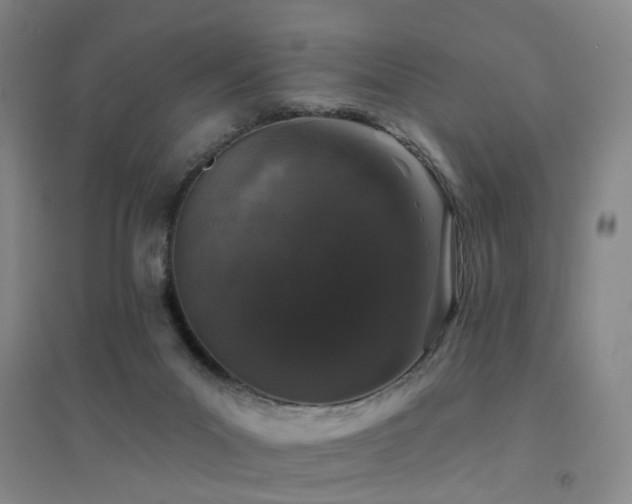 X0000094440023200711081259