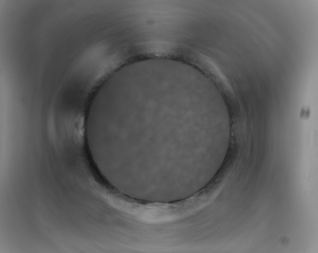 X0000094440024200711081259