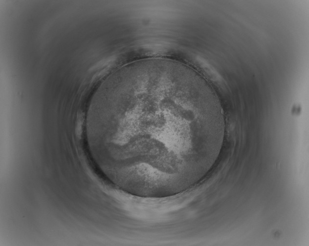 X0000094440026200711081259
