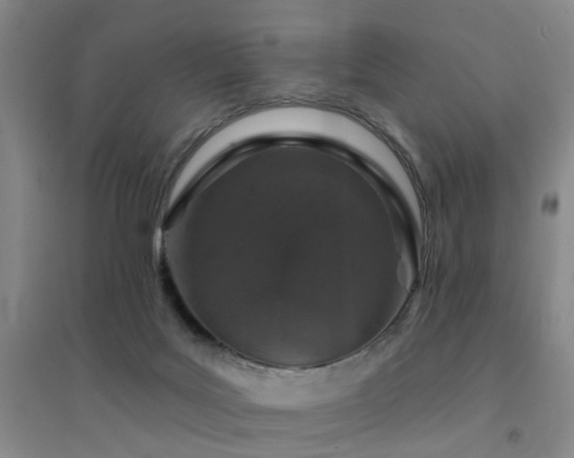 X0000094440027200711081259