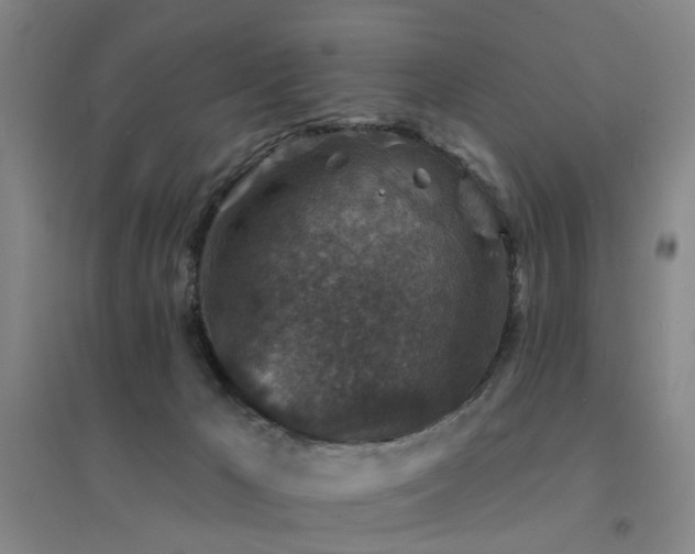 X0000094440029200711081259