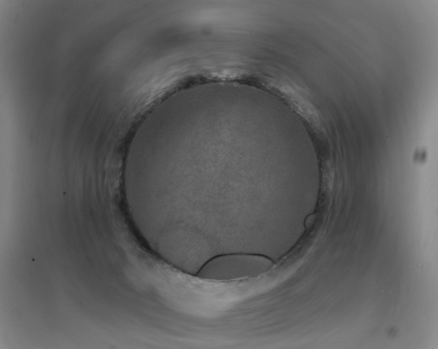 X0000094440030200711081259