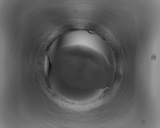 X0000094440031200711081259
