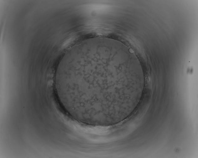 X0000094440032200711081259