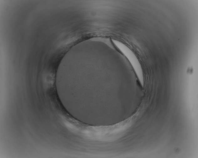 X0000094440033200711081259