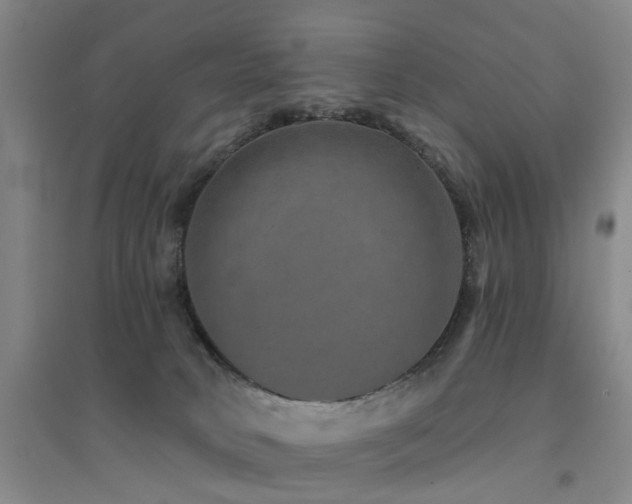 X0000094440034200711081259