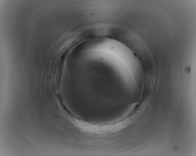 X0000094440035200711081259