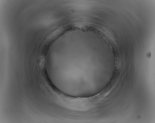 X0000094440036200711081259