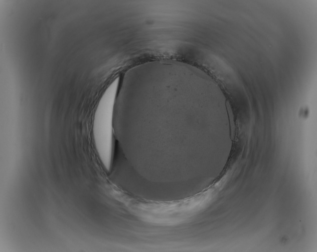 X0000094440037200711081258