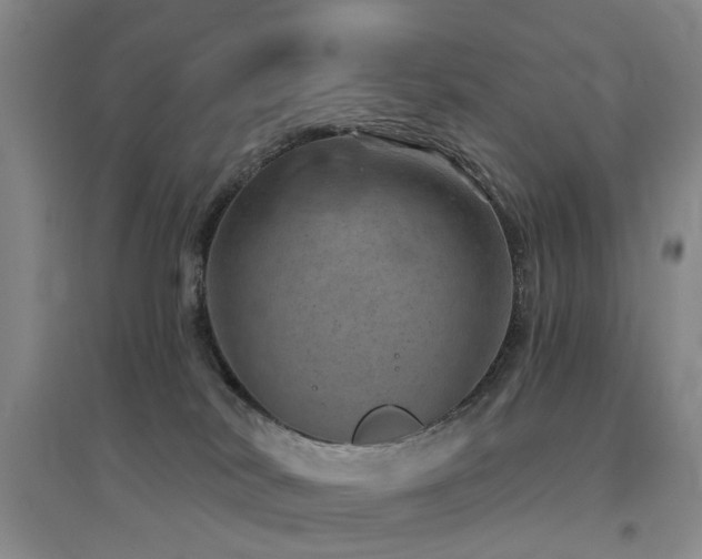 X0000094440038200711081258