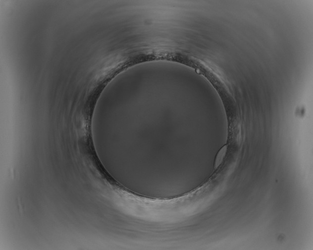 X0000094440039200711081258