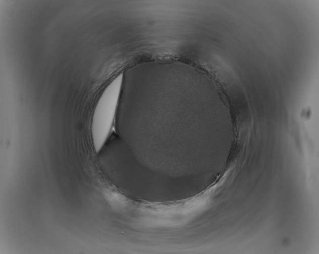 X0000094440041200711081258