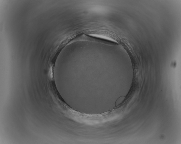 X0000094440042200711081258