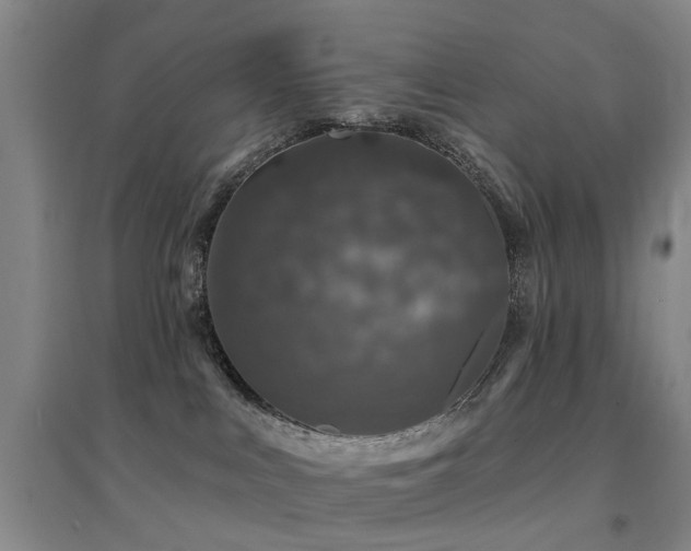 X0000094440043200711081258