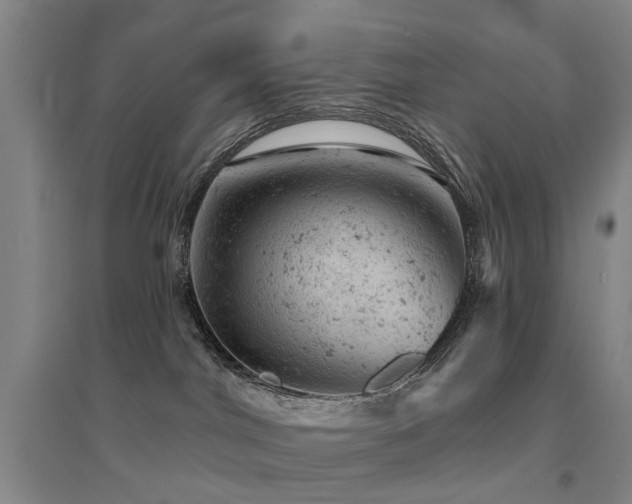 X0000094440044200711081258