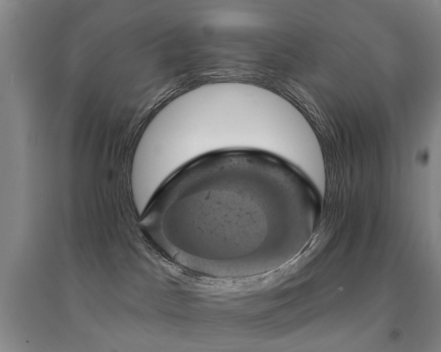 X0000094440045200711081258