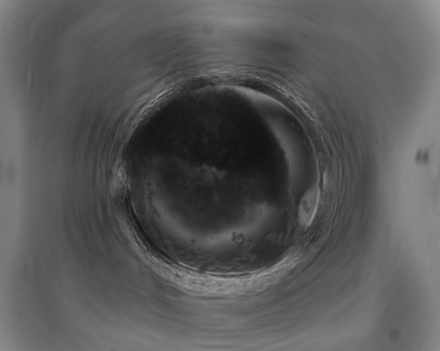 X0000094440048200711081258
