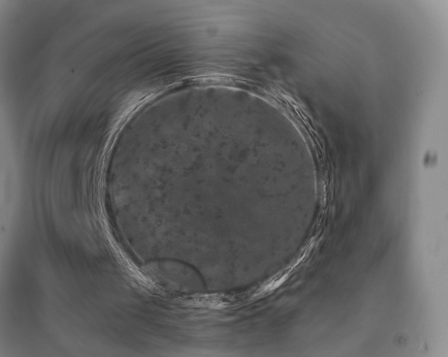 X0000094440049200711081258