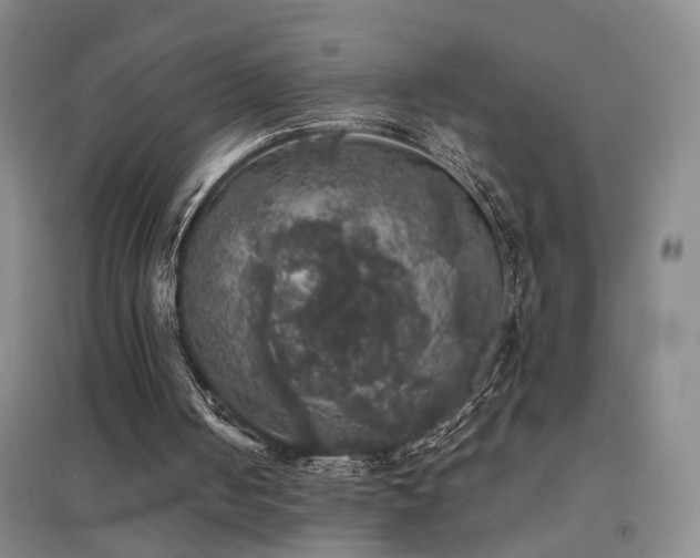 X0000094440050200711081258