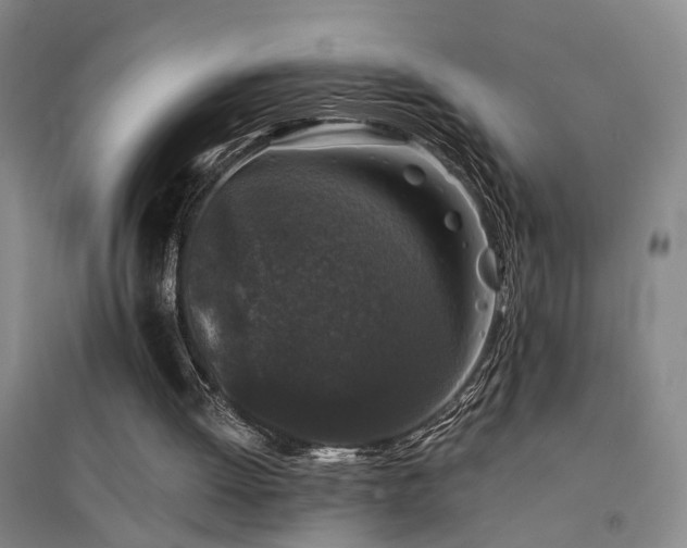 X0000094440052200711081258