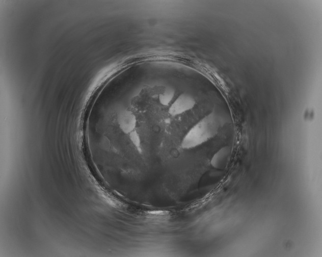 X0000094440053200711081258