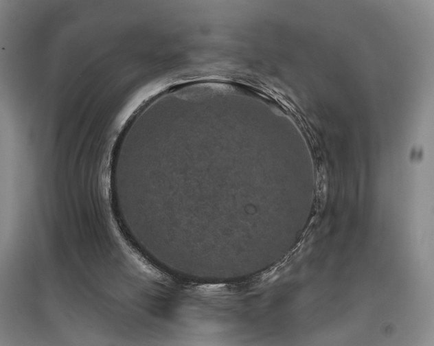 X0000094440054200711081258