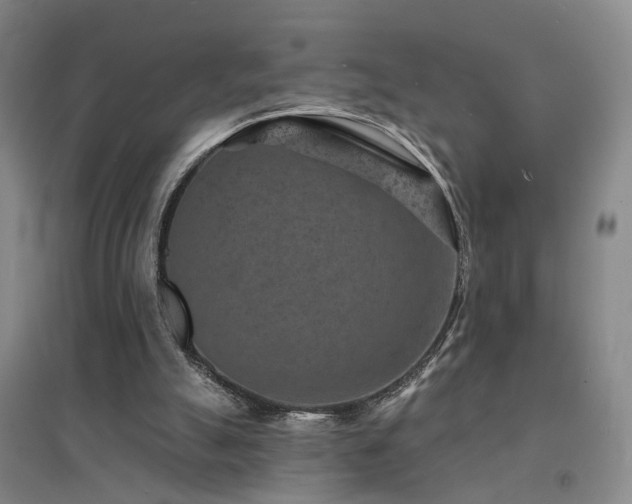 X0000094440055200711081258