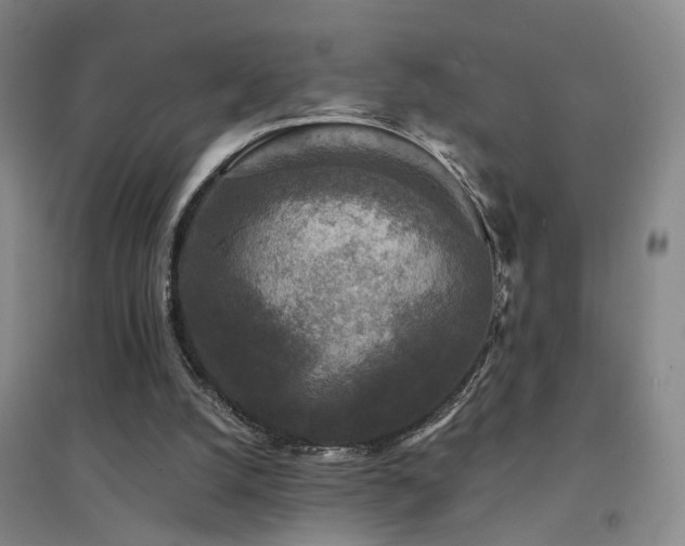 X0000094440056200711081258