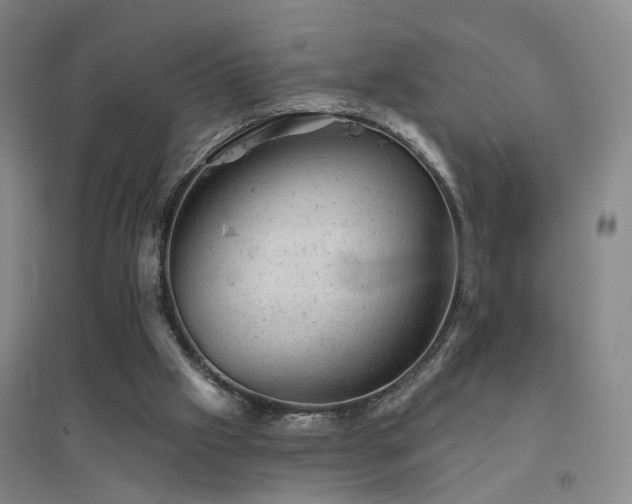 X0000094440057200711081258
