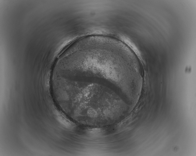 X0000094440058200711081258
