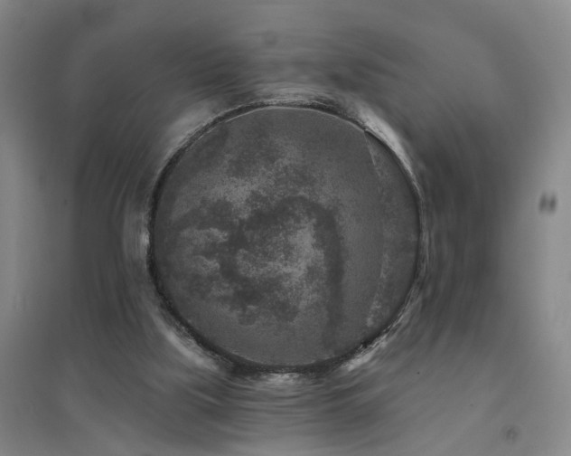 X0000094440059200711081258