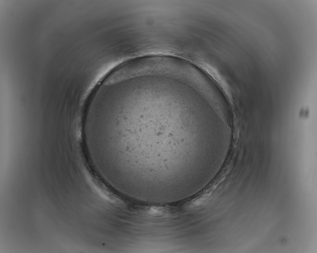 X0000094440060200711081258