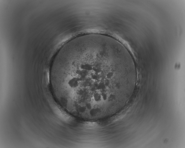 X0000094440061200711081258