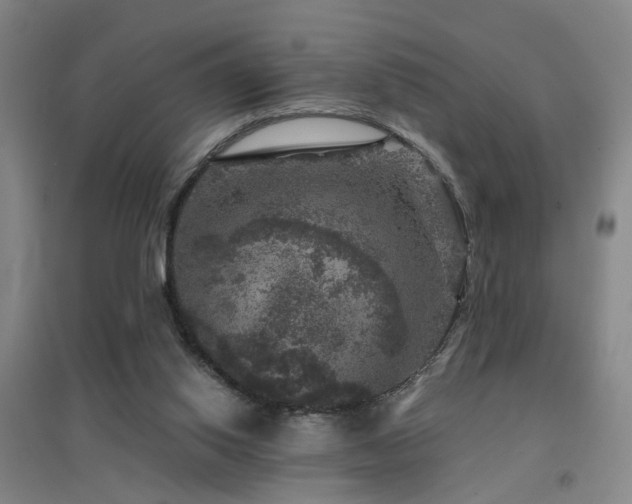 X0000094440062200711081258