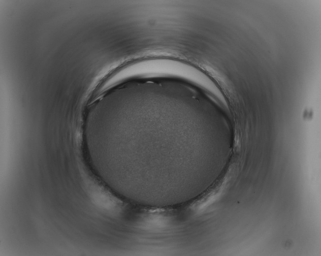 X0000094440064200711081258