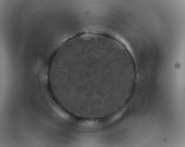 X0000094440065200711081258