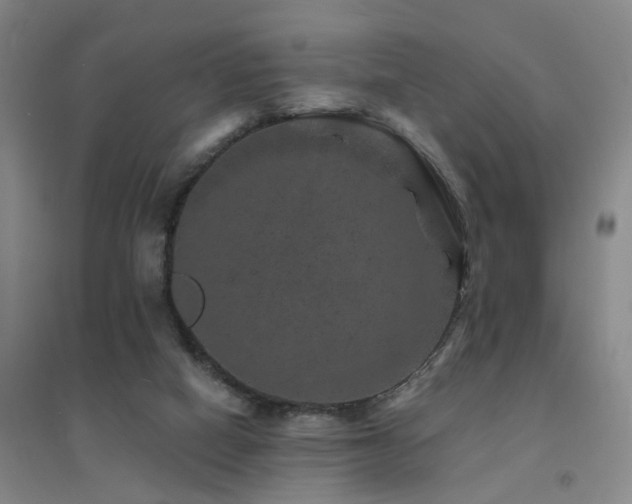 X0000094440066200711081258