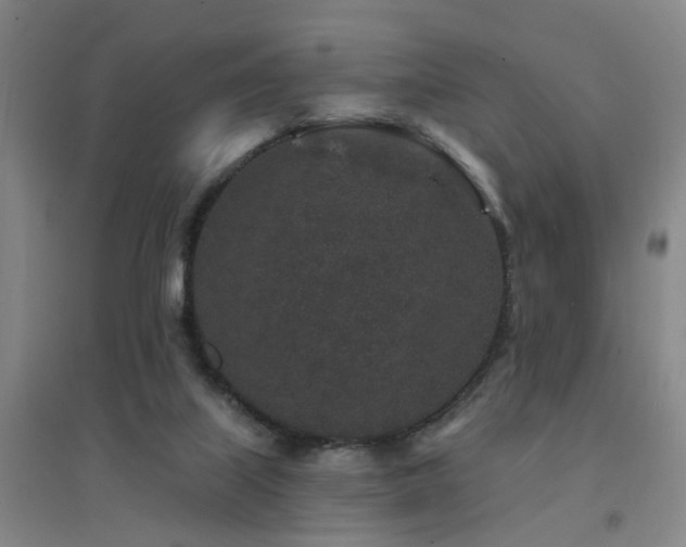 X0000094440067200711081258