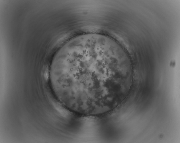 X0000094440069200711081258