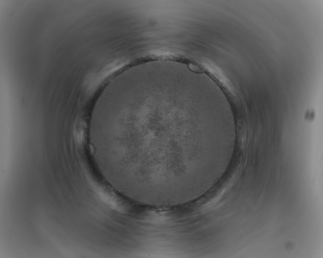 X0000094440071200711081258