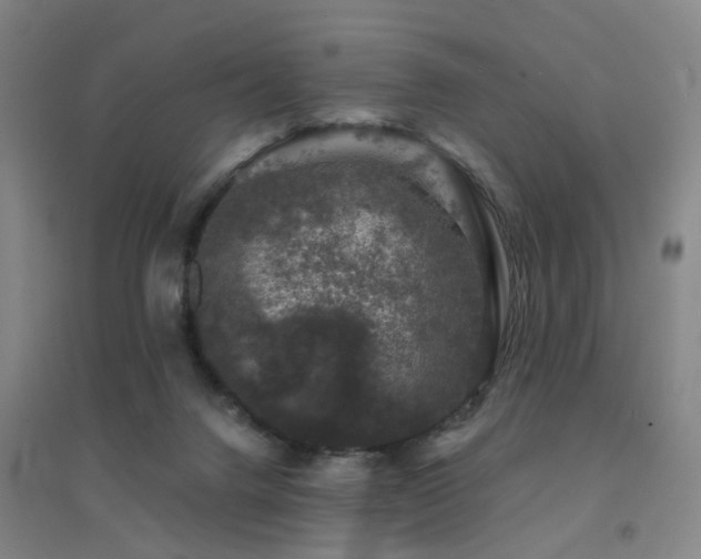 X0000094440072200711081258