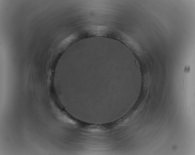 X0000094440073200711081258