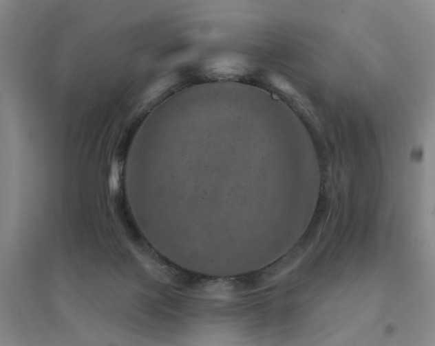 X0000094440075200711081258