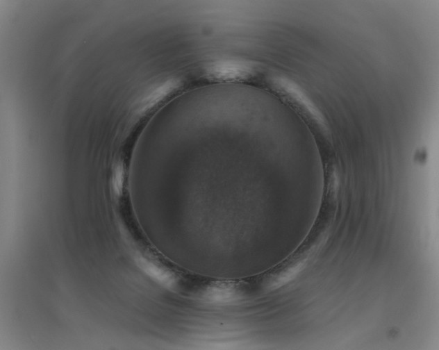 X0000094440076200711081258