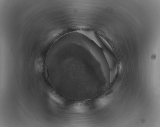X0000094440080200711081258
