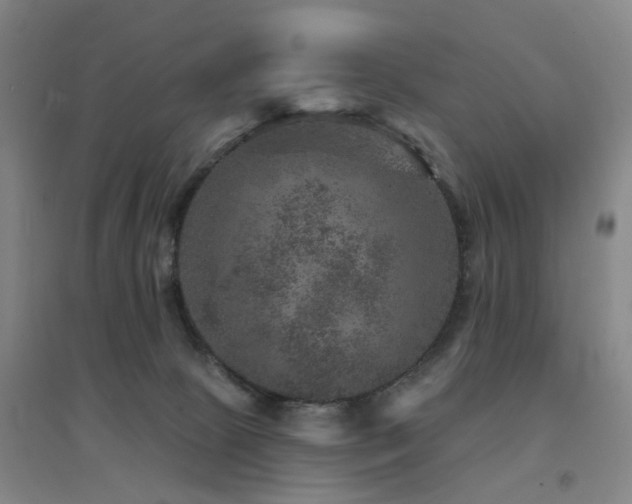 X0000094440081200711081258