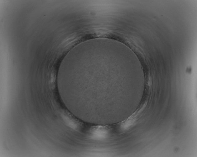 X0000094440082200711081258